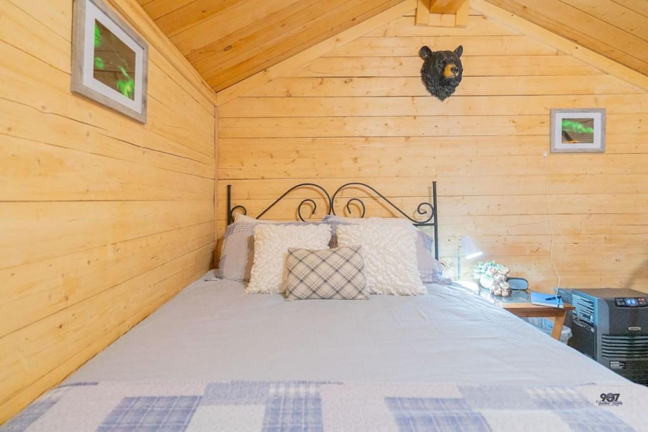 Studio Log Dry Cabin| Aurora Views! Fairbanks Buitenkant foto