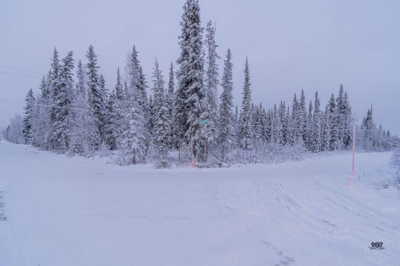 Studio Log Dry Cabin| Aurora Views! Fairbanks Buitenkant foto