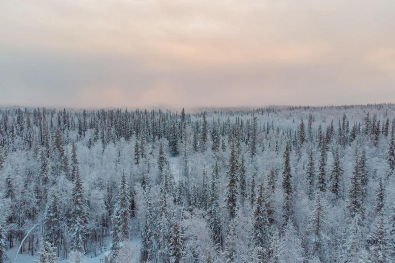 Studio Log Dry Cabin| Aurora Views! Fairbanks Buitenkant foto