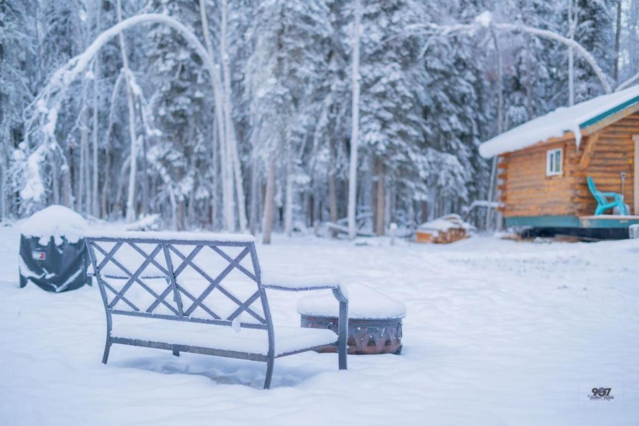Studio Log Dry Cabin| Aurora Views! Fairbanks Buitenkant foto